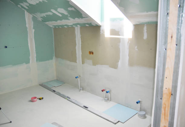 Best Mold Odor Removal Services  in Apison, TN