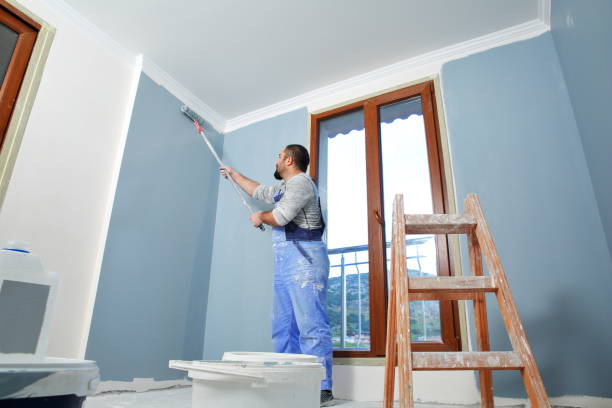 Best Water Damage & Mold Remediation  in Apison, TN