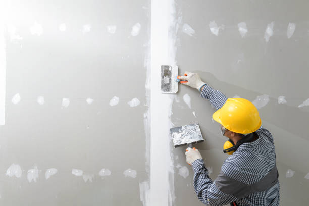 Best Mold Remediation for Healthcare Facilities  in Apison, TN