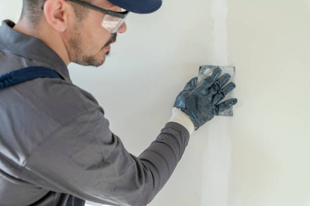 Best Attic Mold Removal  in Apison, TN