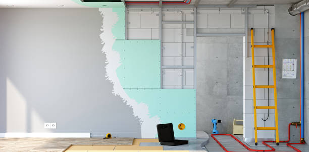 Best Mold Remediation for Healthcare Facilities  in Apison, TN