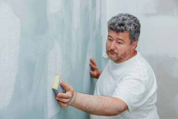 Best Mold Documentation for Insurance Claims  in Apison, TN