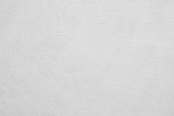 Best Basement Mold Removal  in Apison, TN