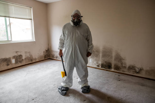 Best Industrial Mold Remediation  in Apison, TN