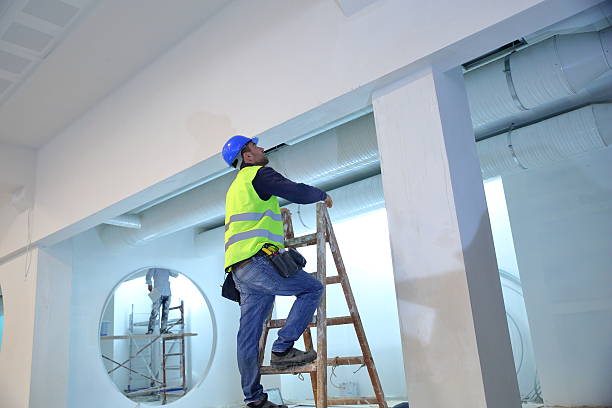 Mold Documentation for Insurance Claims in Apison, TN