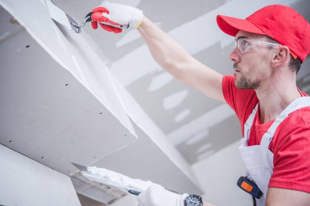 Best Asbestos and Lead Testing During Mold Inspection  in Apison, TN