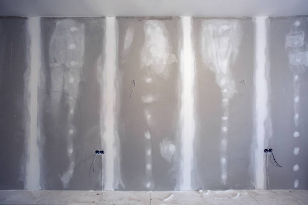 Best Mold Documentation for Insurance Claims  in Apison, TN